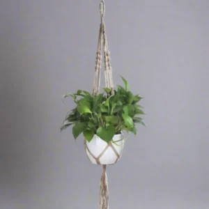 Boho Jute Macramé Plant Hanger